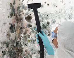 Best Biohazard Mold Removal  in Brandenburg, KY